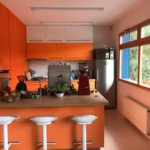 Nejoblíbenějším místem tučňáků je plně vybavená kuchyňka