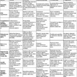 Přehledné srovnání jednotlivých přístupů k CLV